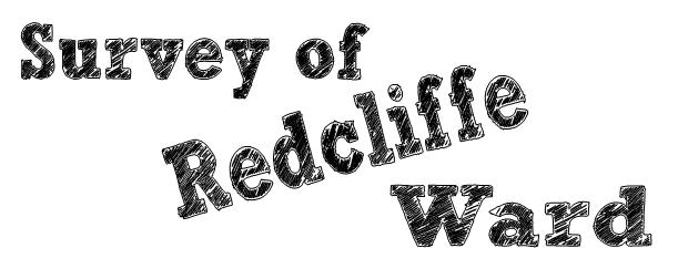 redcliffe_survey wording